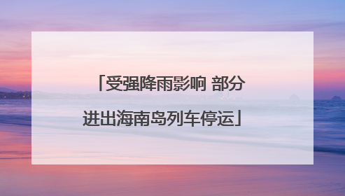 受强降雨影响 部分进出海南岛列车停运